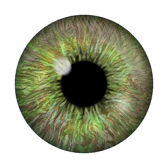 Pupil